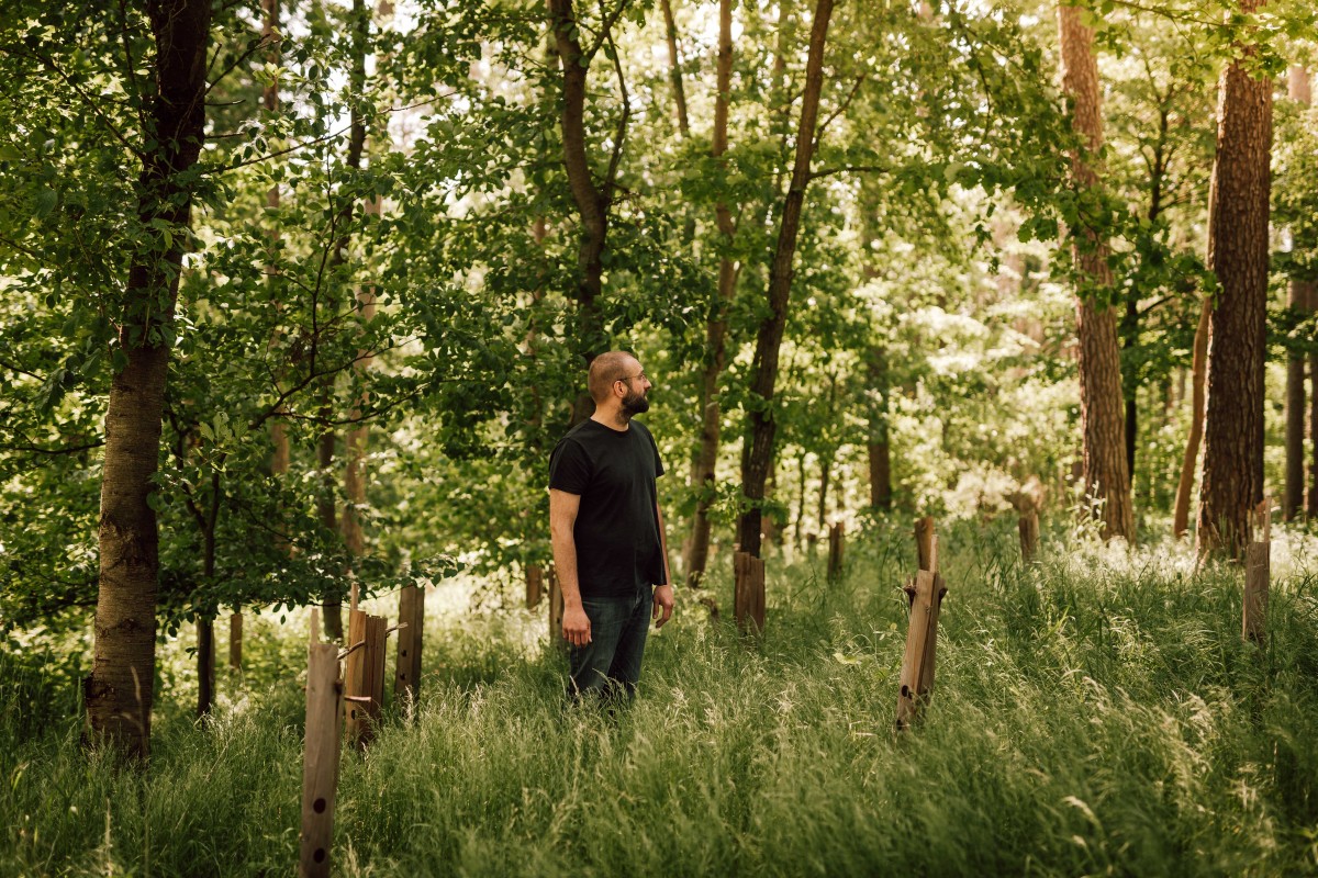 Stefan Klingner steht im Wald zwischen Neupflanzungen