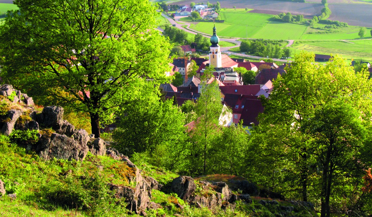 Tännesberg in der Oberpfalz ist seit Jahrzehnten Vorreiter in Sachen Biodiversität. (Foto: Katrin Hartisch)